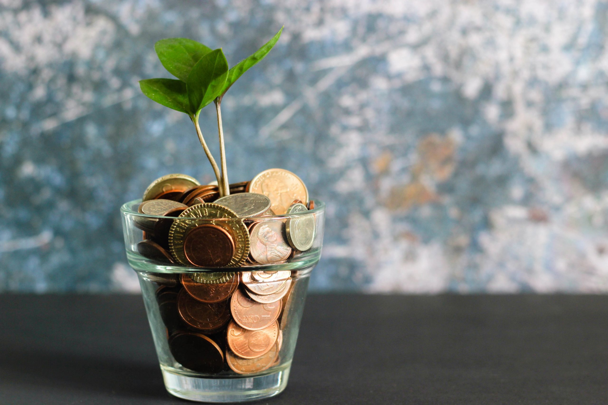 micheile-dot-com-ZVprbBmT8QA-unsplash Apprendre comment économiser en rénovations est essentiel